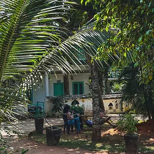 Molly's Hostel